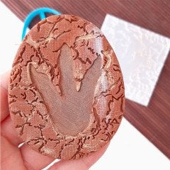 Dinazor Ayak İzi Doku Kabartma Baskı